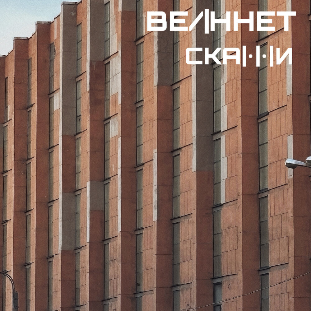 Скажи
